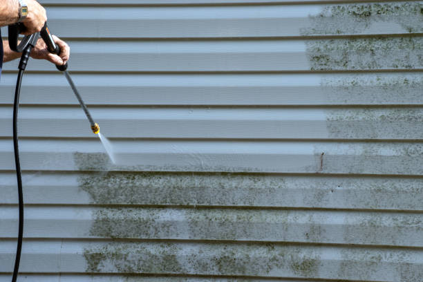 Best Attic Cleanout  in Spring Arbor, MI