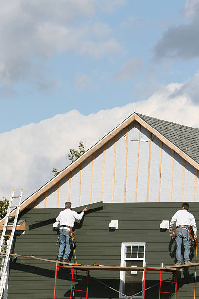 Best Shed Removal  in Spring Arbor, MI